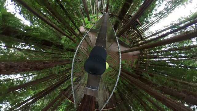 Redwood Forest Suspension Bridge Walking POV Tiny Planet 07 California USA
