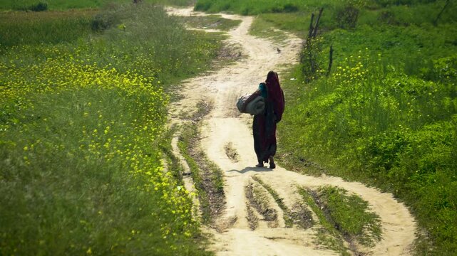 View of a village woman carrying a bundle while walking along a dirt path through a vibrant green field in rural Bangladesh.