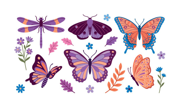 Beautiful butterfly vector illustration collection featuring colorful moths, dragonfly, spring flowers, autumn leaves, botanical elements isolated on white background
