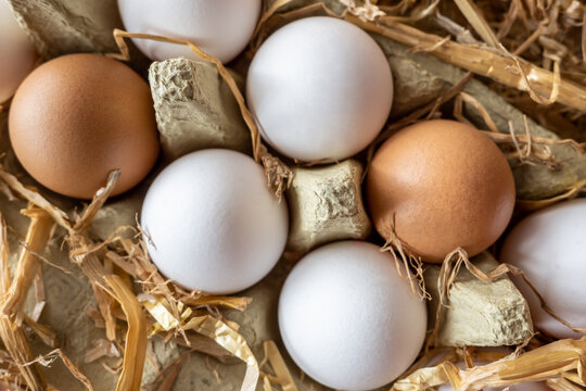 Fresh eggs in organic carton box on the farm near yellow hay straw.