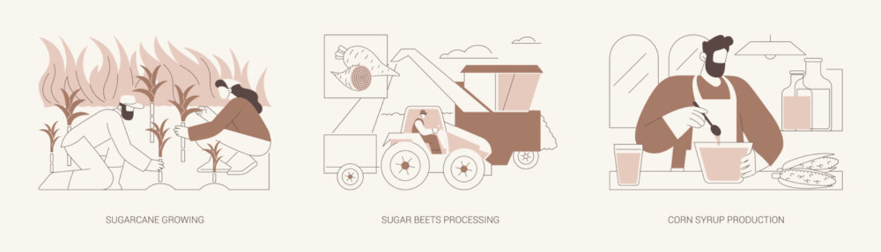 Sugar production isolated cartoon vector illustrations se
