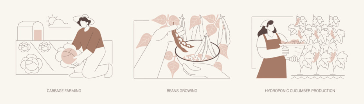 Growing vegetables isolated cartoon vector illustrations se