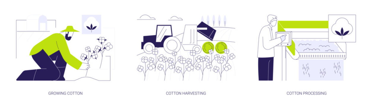 Cotton farm abstract concept vector illustrations.