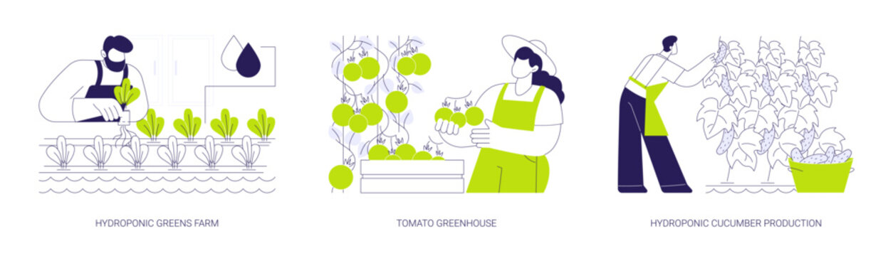 Vegetable industry abstract concept vector illustrations.