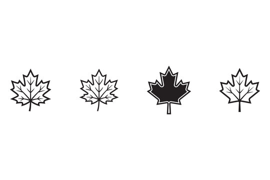 Maple Leaf Vector Collection, Autumn Fall Leaf Botanical Outline Illustrations
