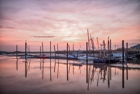 View into land of Petkum harbour at sunset, Emden, Lower Saxony, Germany