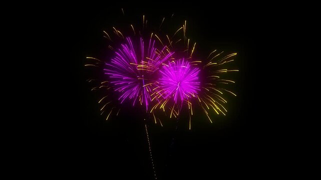 Celebration firework bursting into shimmering light trails on transparent background