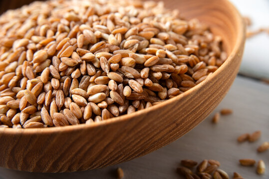 Ciotola con farro perlato biologico, alimentazione vegetariana 