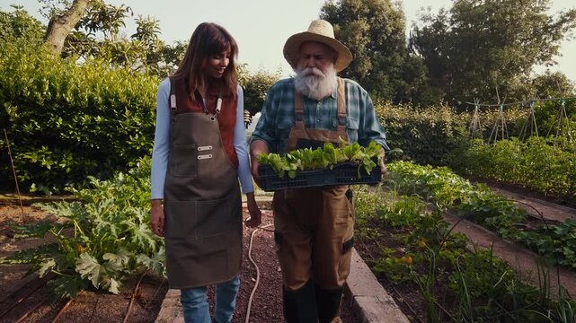 Farmers harvesting fresh vegetables in lush orchard: embracing sustainable agriculture

