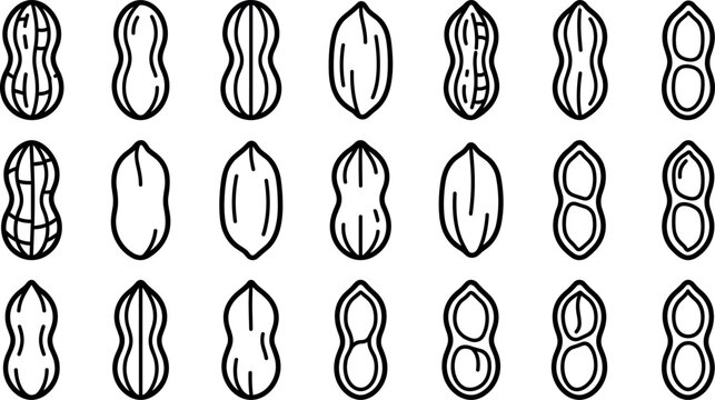 Organic peanuts and groundnuts outline vector icon set featuring raw whole shells opened cases nutritious seed kernels and agricultural design elements