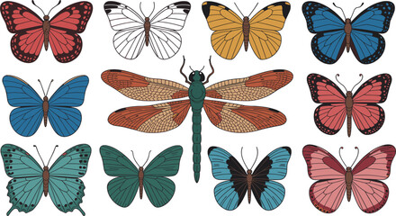 Collection of colorful butterflies and a dragonfly arranged in a grid against a white background with natural textures © MstMoslema