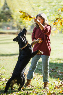 Woman playing with her dog in an autumn park