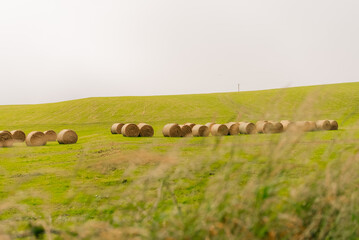 Round hay bales scattered across a lush green field, with rolling hills creating a scenic rural landscape typical of the Irish countryside - Ireland - 31 August 2026. © IBRESTER
