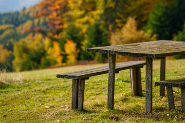 Wooden picnic table with benches on a mountain glade under pine tree branches in autumn © scharfsinn86