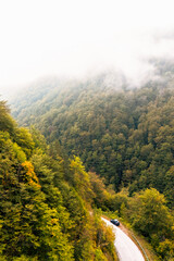 Naklejka premium Aerial view of a winding mountain road surrounded by dense autumn forest covered with mist and fog