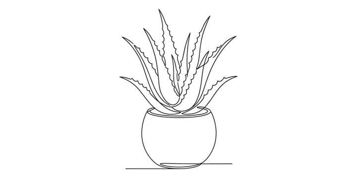 Continuous one line drawing aloe vera houseplant in pot isolated on white background minimalist botanical plant line art