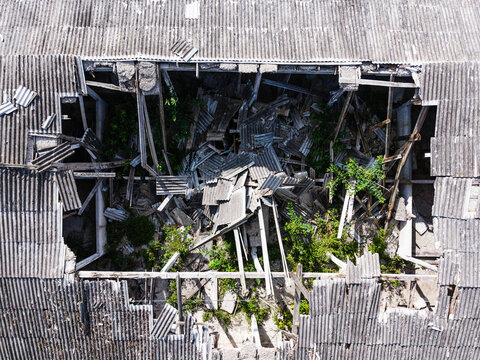 Aerial view of a collapsed and abandoned Soviet-era agricultural complex with broken corrugated roofing and overgrown vegetation emerging from the debris in Kulciems, Talsi Municipality, Latvia.