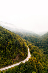 Naklejka premium Aerial view of a winding mountain road surrounded by dense autumn forest covered with mist and fog