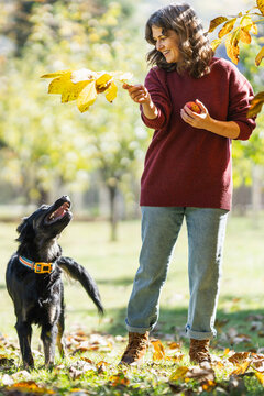 Woman playing with her dog in an autumn park