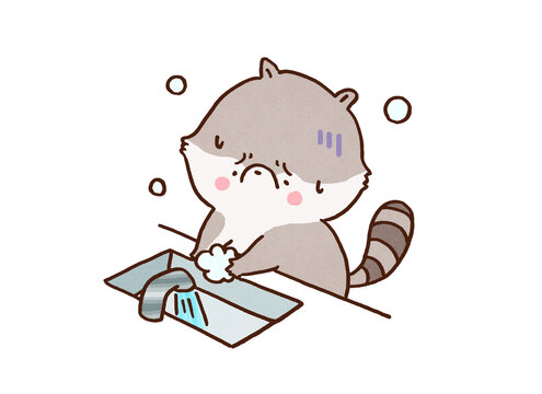 Raccoon washing its hands repeatedly due to obsession, obsessive compulsive disorder OCD or mysophobia concept