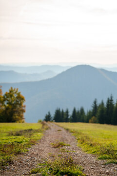 Gravel road leading through alpine meadows toward distant blue mountain ranges