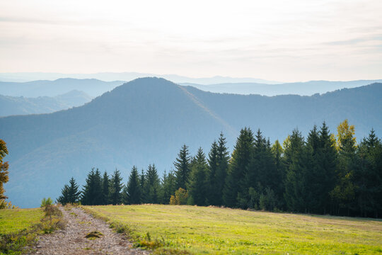Gravel road leading through alpine meadows toward distant blue mountain ranges