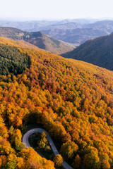 Naklejka premium Drone perspective of a winding serpentine forest road during peak autumn foliage season