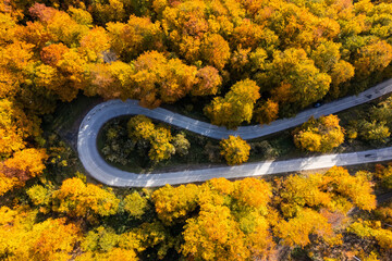 Naklejka premium Drone perspective of a winding serpentine forest road during peak autumn foliage season