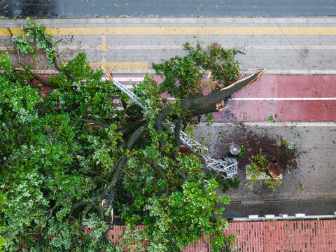 Aerial view of a large tree fallen across a pedestrian path and cycle lane after a storm, damaging metal infrastructure in Riga, Latvia.