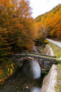 Aerial view of an old stone arch bridge over a clear mountain river surrounded by vibrant autumn foliage