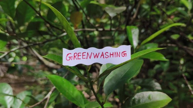 Greenwashing word written on paper and attached to tree branch. Corporate deceptive and misleading nature sustainability, eco friendly or environmental conservation fake claims for marketing practice.