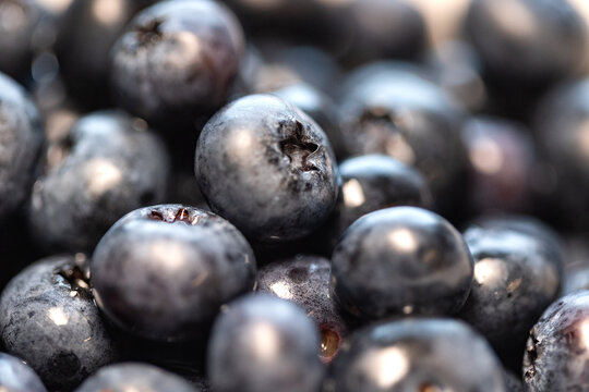 Extrem close-up of fresh blueberries in a bowl. Sweet food, ripe, organic, ready to eat, kitchen, raw and vegetarian food.