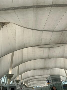Curved white vaulted ceiling architecture