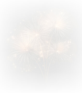 Fireworks Celebration Background Element with Spark Effects