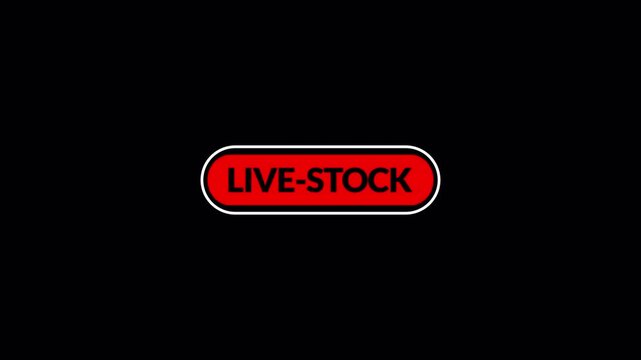 animated live stock text animation in 4K animation in 4k animation with alpha channel on transparent background text animation live stock 