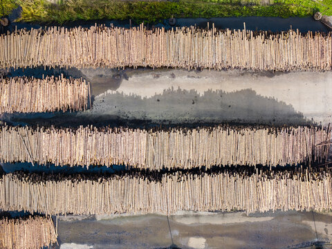 Aerial view of stacked timber logs arranged in long rows at a lumber yard, highlighting the forestry industry in Talsu novads, Latvia.