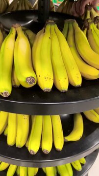 Pl&aacute;tano amarillo para venta