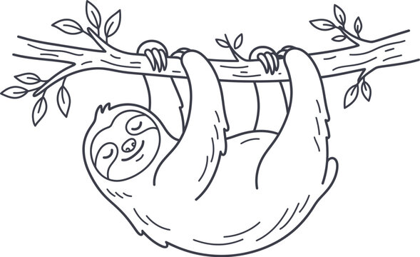 hand drawn vector illustration of an sloth