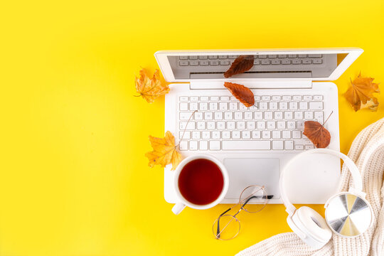 High-colored bright yellow fall seasonal background