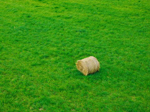 Aerial view of a single round hay bale resting in a vibrant green meadow in Tukums Municipality, Latvia.