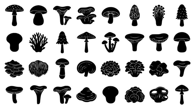 Large Collection of 32 Mushroom Black Silhouette Vector Icons and Fungi