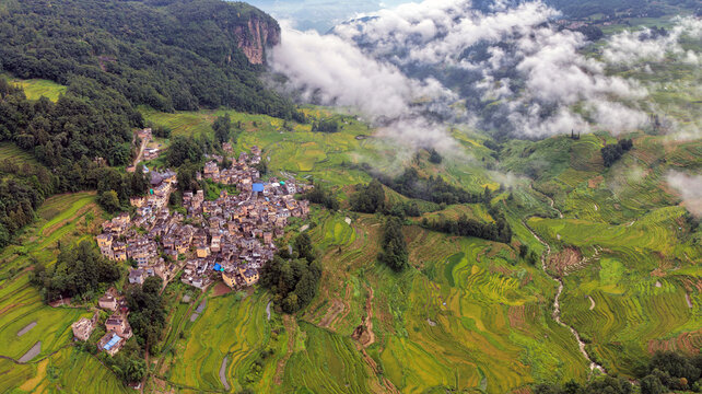 Aerial view of terraced rice fields in Yuanyang County, featuring a village nestled among lush green slopes and misty clouds in Honghe Hani and Yi Autonomous Prefecture, Yunnan, China.