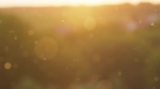 Looping warm golden hour light leaks and floating dust bokeh overlay.