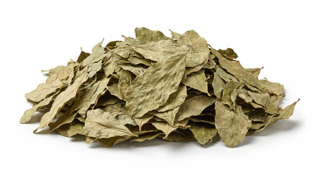 Dried Senna Leaves Pile Isolated on White Background