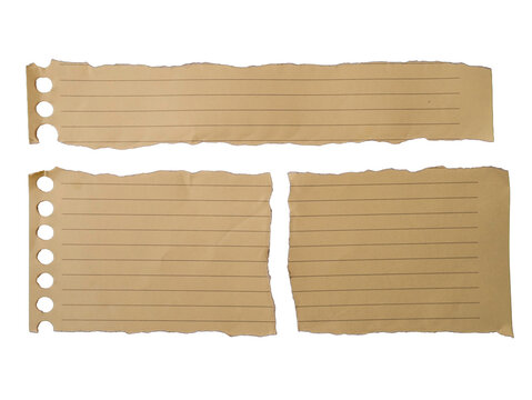Torn paper strips with lines and binder holes set on white background for banner, note message, scrapbook design, and web template layout