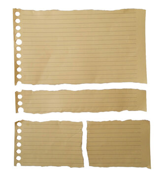 Torn paper strips with lines and binder holes set on white background for banner, note message, scrapbook design, and web template layout