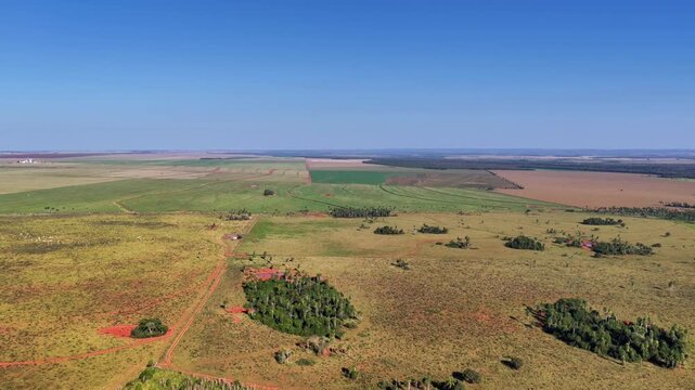 Aerial View of Patchwork Farmland in Mato Grosso do Sul Brazil