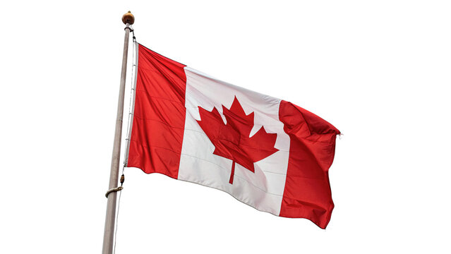 National flag of Canada on a flagpole isolated on a white background