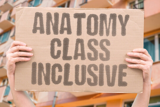 "Anatomy class inclusive" CSE covers LGBTQ+ topics respectfully. ANATOMY. INCLUSIVE. LGBTQ. RESPECT. DIVERSITY.
