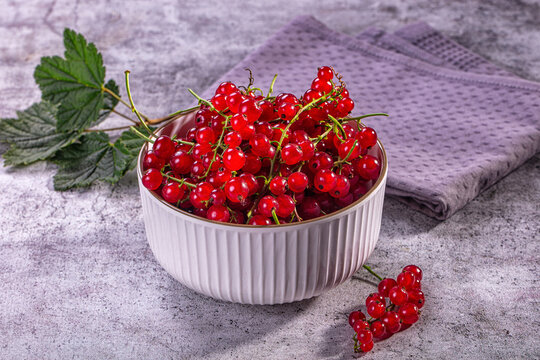 Fresh red currants in white ceramic bowl with green leaves on textured gray surface